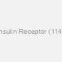 Biotin-Insulin Receptor (1142-1153)